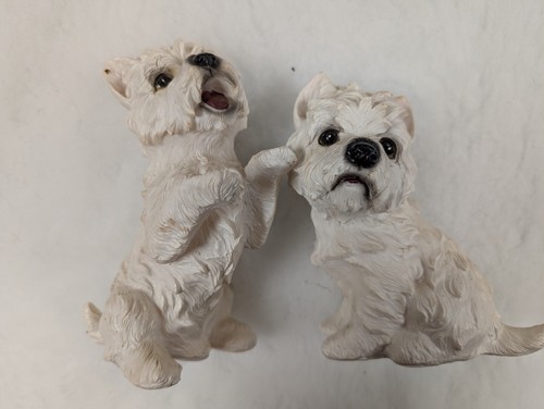 Pair west highland terrier - of,