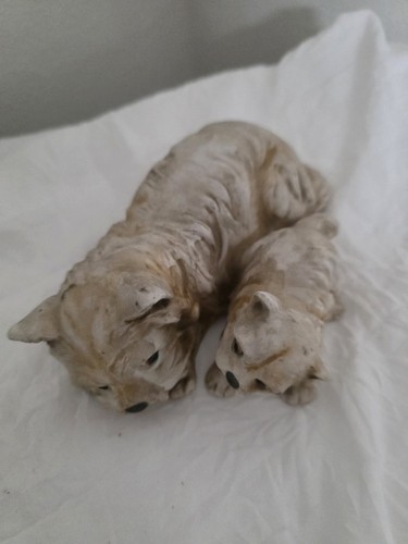 West highland white - white, terrier