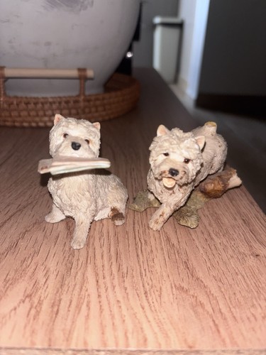 Sherratt simpson westie - &,