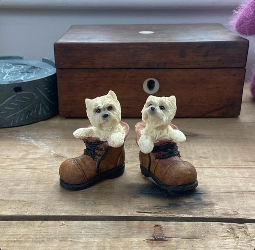 Two white highland terriers