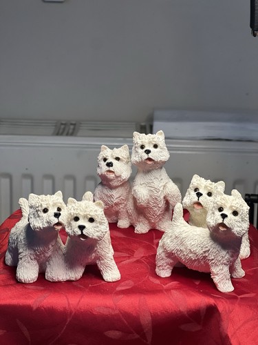Set vintage westie - westie, dog