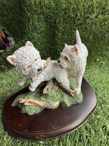 Teviotdale westie pair playing - westie,