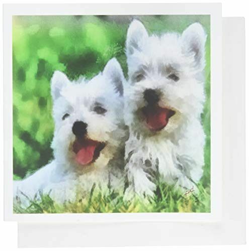 West highland terrier westie - -,