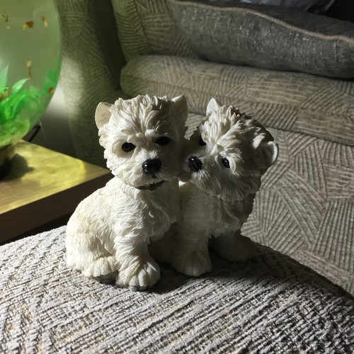 West highland terrier - west,