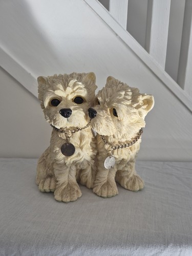Pair west highland terrier - pair, of
