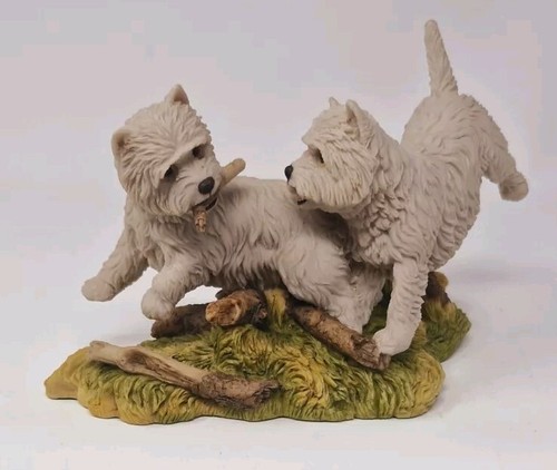 Teviotdale pair westies - teviotdale,