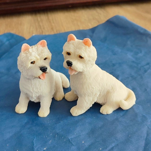 Pair adorable dog - of,