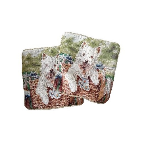 West highland terrier - highland, 2