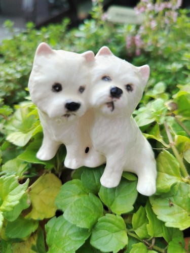 Vintage beswick gloss - gloss, west
