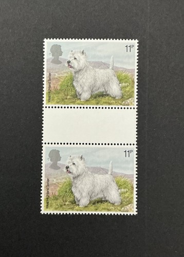 West highland terrier - terrier, on