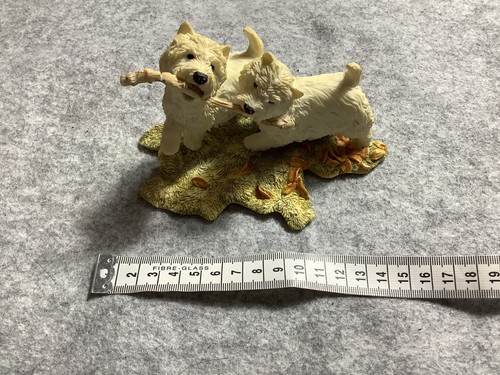 Pair west highland terrier - of,