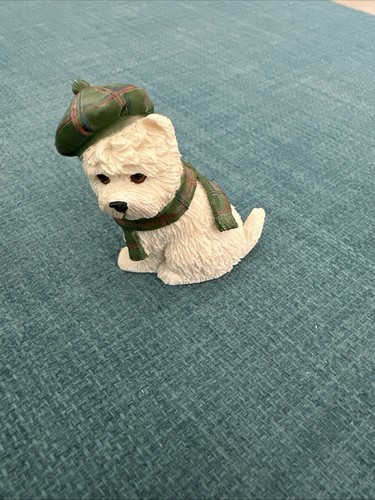 Westie dog west - westie, highland